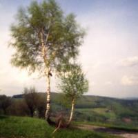 Vyškovec, Kopanice Vyškovec, Kopanice