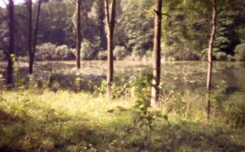 Na břehu rybníka