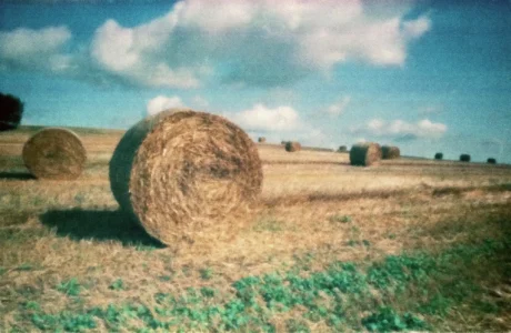 Uprostřed léta